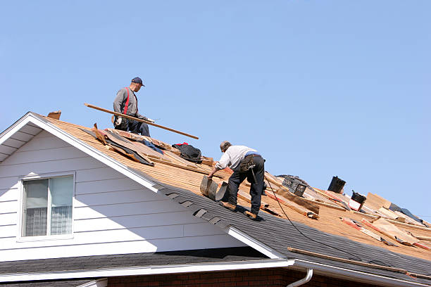 Best Roof Coating and Sealing  in Fairbury, IL